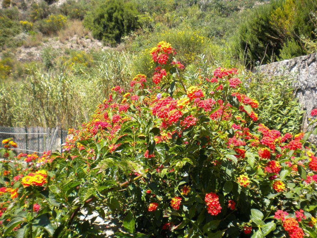 Casa U' Cucunciu Lägenhet Lipari  Rum bild