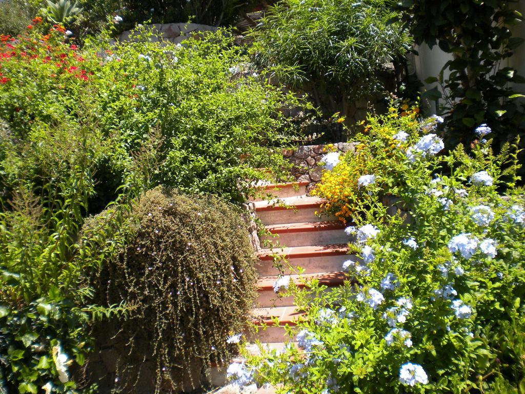 Casa U' Cucunciu Lägenhet Lipari  Rum bild
